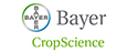 Bayer